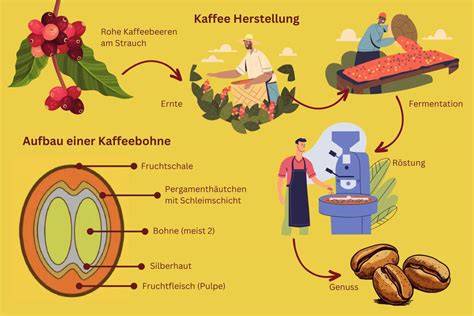 Rohkakaobohnen und Verarbeitungsschritte beim Bean-to-Bar-Verfahren