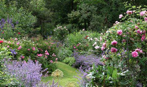 Rosengarten mit Damaszener Rosen