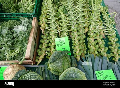 Rosenkohl frisch auf dem Markt