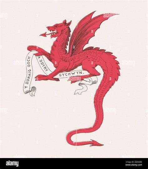Roter Drache auf der walisischen Flagge, Dinas Emrys, Symbolik