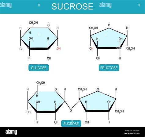 Süßkraftvergleich Fructose, Glucose, Saccharose