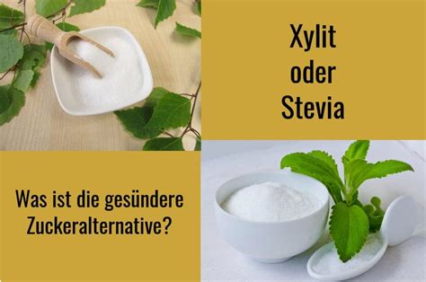 Süßungsmittel im Überblick: Haushaltszucker, Xylit, Stevia, Erythrit