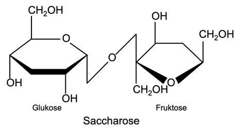 Saccharose - Molekülaufbau und typische Bindung
