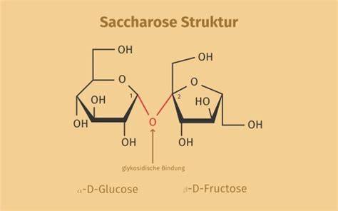 Saccharosemolekül Bindung und Struktur