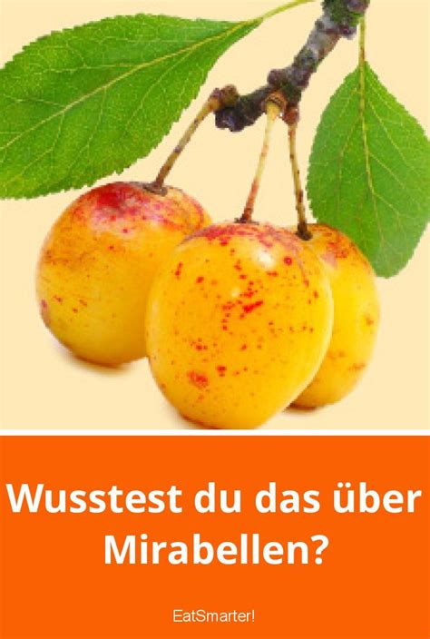 Saison-Verlauf von Mirabellen und Brombeeren - Infografik