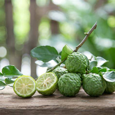 Saisonale Ernte von Bergamotten, Zusammensetzung der Früchte