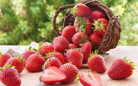 Saisonale Obstsorten für Torten