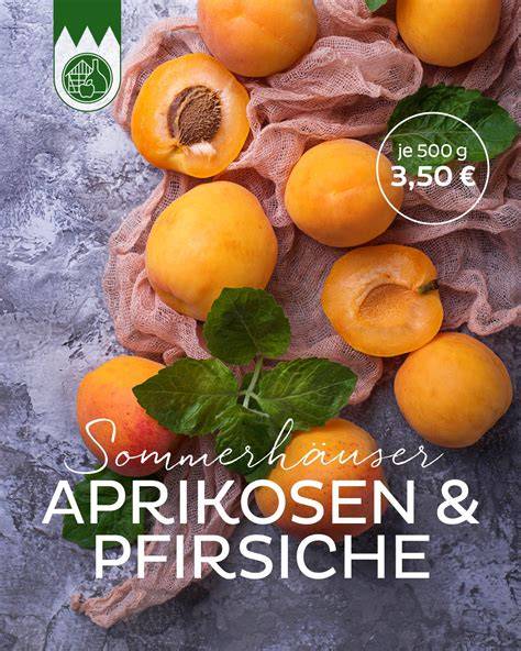 Saisonkalender: Beeren-Varianten und Alternativen (Aprikosen, Pfirsiche, Mangos) für Zwiebackboden