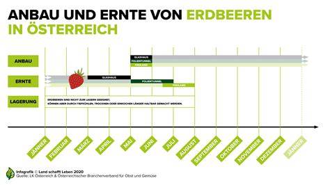 Saisonkalender Erdbeeren Österreich und Deutschland