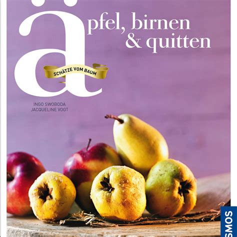 Saisonkalender und Lagerungstipps für Äpfel, Birnen, Quitten