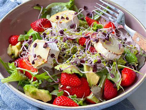 Salat mit Honig-Mohn-Senf-Dressing, angerichtet auf Teller