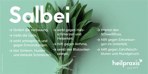Salbei Wirkung und sichere Anwendung - Schaubild