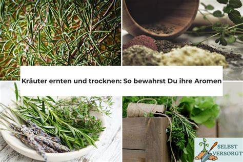 Salzsorten und ihre Aromen - Übersicht