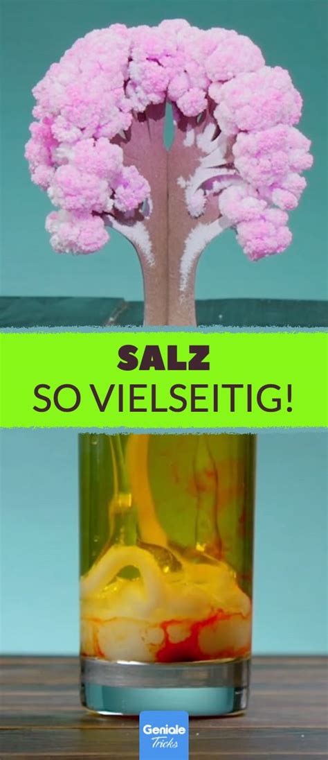 Sammelbild: Verschiedene Experimente mit Zucker, Salz und Farbstoffen