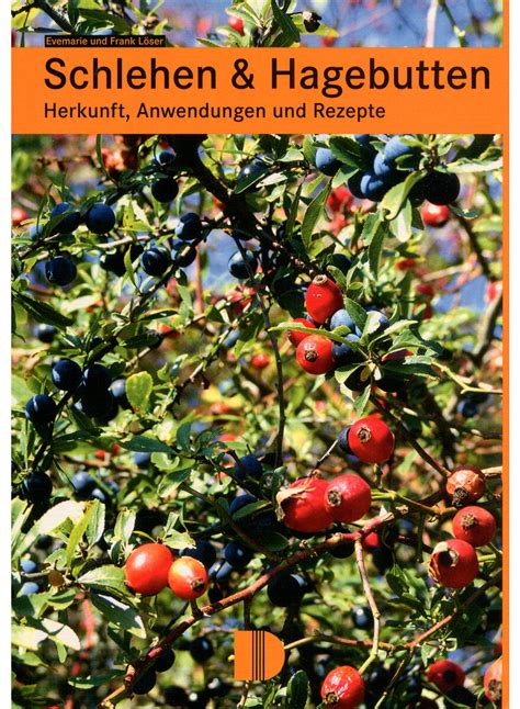Sammeln und Bestimmen von Wildfrüchten wie Hagebutten und Schlehen in der Natur