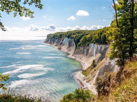 Sanddorn und Norddeutsche Küstenlandschaft