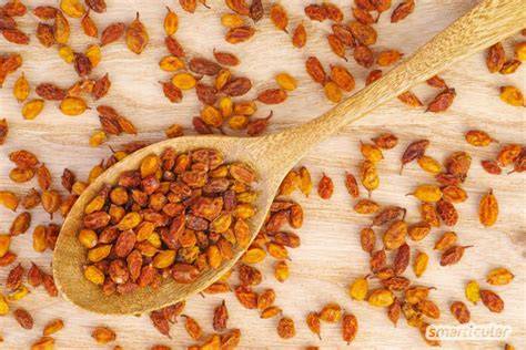 Sanddornbeeren auf einem Holzlöffel