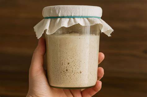 Sauerteigstarter Schritt-für-Schritt
