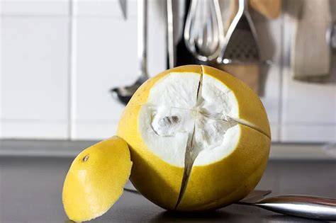 Schälanleitung Pomelo Schritt für Schritt mit Bildabfolge