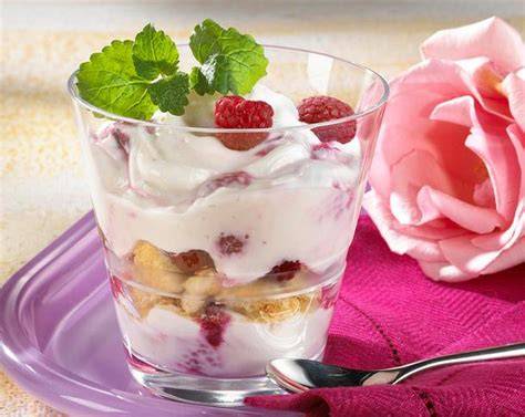 Schüssel mit frischer Joghurtcreme und Himbeeren
