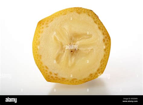 Schaumkuss Banane Querschnitt (Boden, Banane, Schaum, Schokoladenüberzug, Dekor)