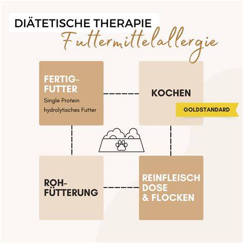 Schema: Ablauf einer Eliminationsdiät und Tagebuchauswertung
