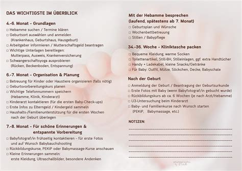 Schema: Checkliste sicherer Frischkäse für Schwangere