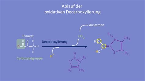 Schema: Decarboxylierung und Cannabutter-Herstellung