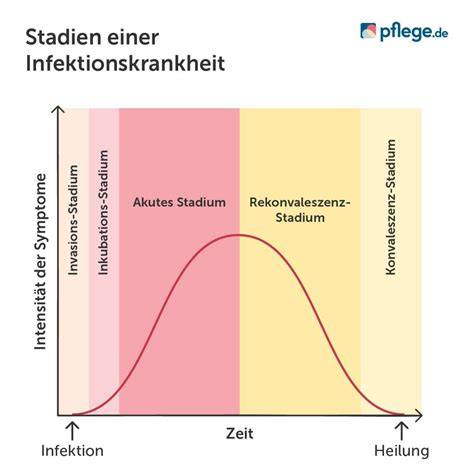 Schema: Der Verlauf und Symptome eines Magen-Darm-Infekts