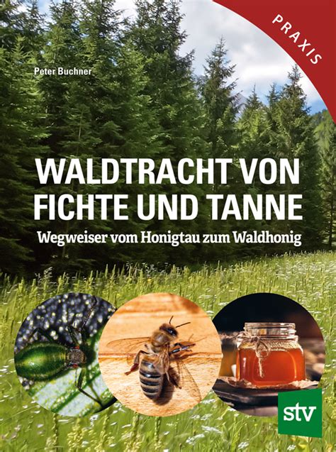 Schema: Der Weg vom Honigtau auf der Tanne bis ins Honigglas