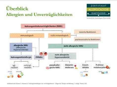 Schema: Diagnostik bei Nahrungsmittel-Allergien und Unverträglichkeiten