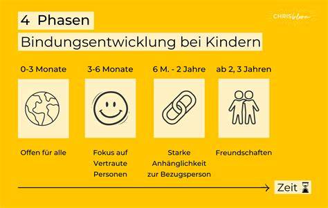 Schema: Die vier Phasen der Honigproduktion im Bienenstock