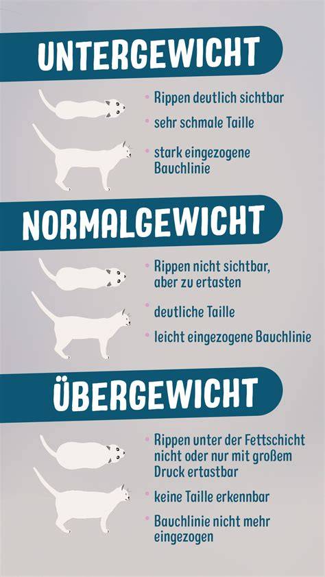 Schema: Dosis-Wirkungsbeziehung bei Katzen und Katzengewicht