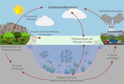 Schema: Einfluss von Formhöhe und Durchmesser auf Backzeit für flüssigen Kern