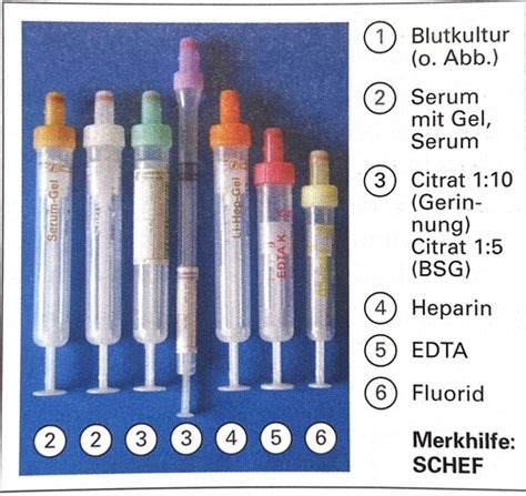Schema: Einsatz von Röhrchen, Folie und Einsätzen für Blumenstiele