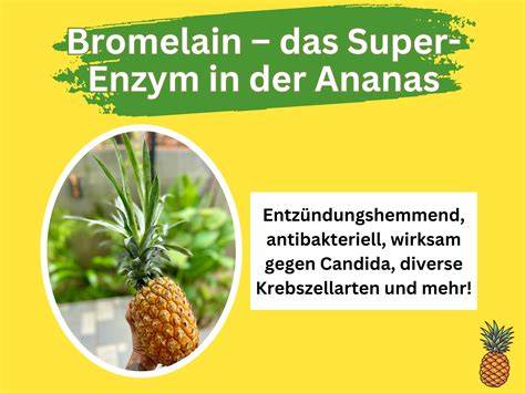 Schema: Enzym Bromelain in frischer Ananas (Kern) vs. Temperaturzerstörung beim Konservieren