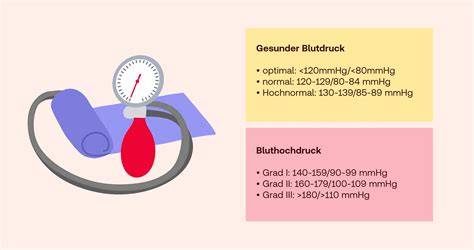 Schema: Flavonoide - Wirkpfade auf Gefäße, Blutdruck und Gehirndurchblutung