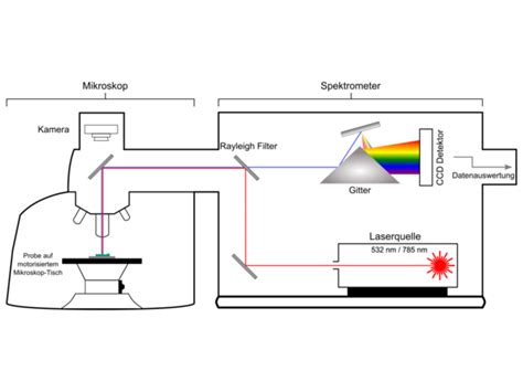 Schema: Funktionsweise der DNA-Analyse und Raman-Spektroskopie bei Honig