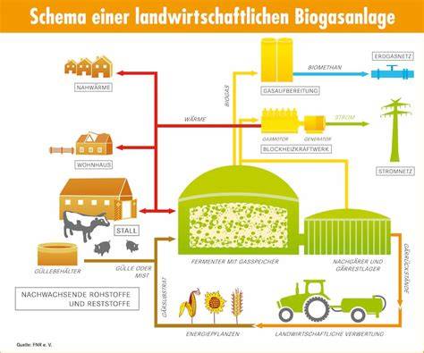 Schema: Herstellung von CBD-Butter