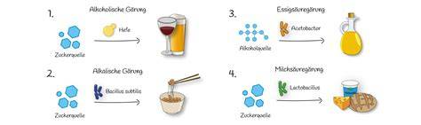 Schema: Herstellungsverfahren alkoholfreies Bier (gestoppte Gärung vs. Entalkoholisierung)