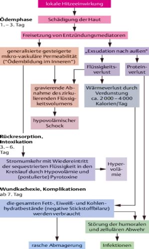 Schema: Hitzeeinwirkung bei unterschiedlichen Backtemperaturen