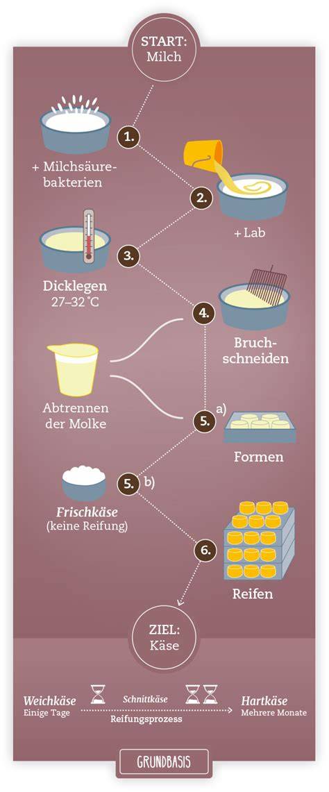 Schema: Milch → Käseproduktion → Zuckerabbau