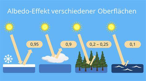 Schema: Pektinquellen bei Zitrusfrüchten (Albedo, Kerne) und Gelierphasen