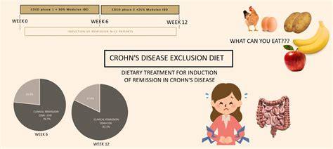 Schema: Phasen der Crohn’s Disease Exclusion Diet (CDED)
