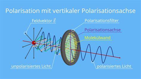 Schema: Polarisation von Licht und Drehung der Schwingungsebene in einer Zuckerlösung