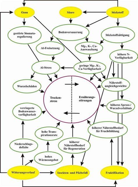 Schema: RDA-Wert und Einflussfaktoren (Bürstendruck, Dauer, Putzkörper)