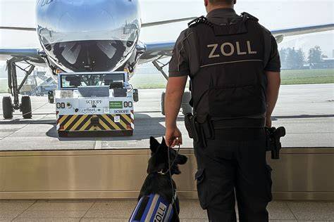 Schema: Registrierungs- und Prüfprozess beim chinesischen Zoll