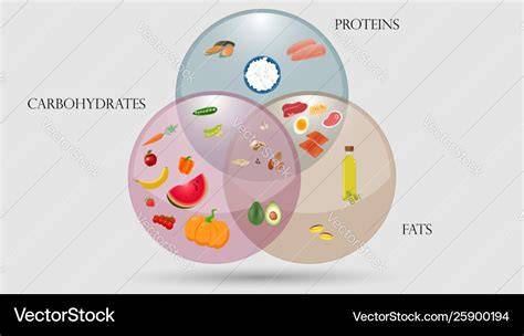 Schema: Sättigungssystem - Protein, Ballaststoffe, Fette vs. Zucker-Spitzen