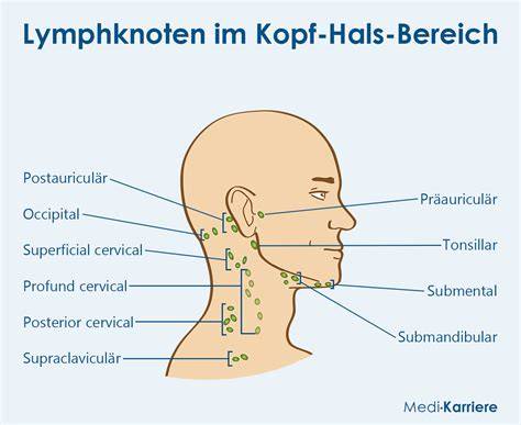 Schema: Schleimproduktion im Halsbereich - Einflussfaktoren