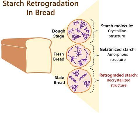 Schema: Stärke-Retrogradation und Zucker-Ausbildung in Gebäck